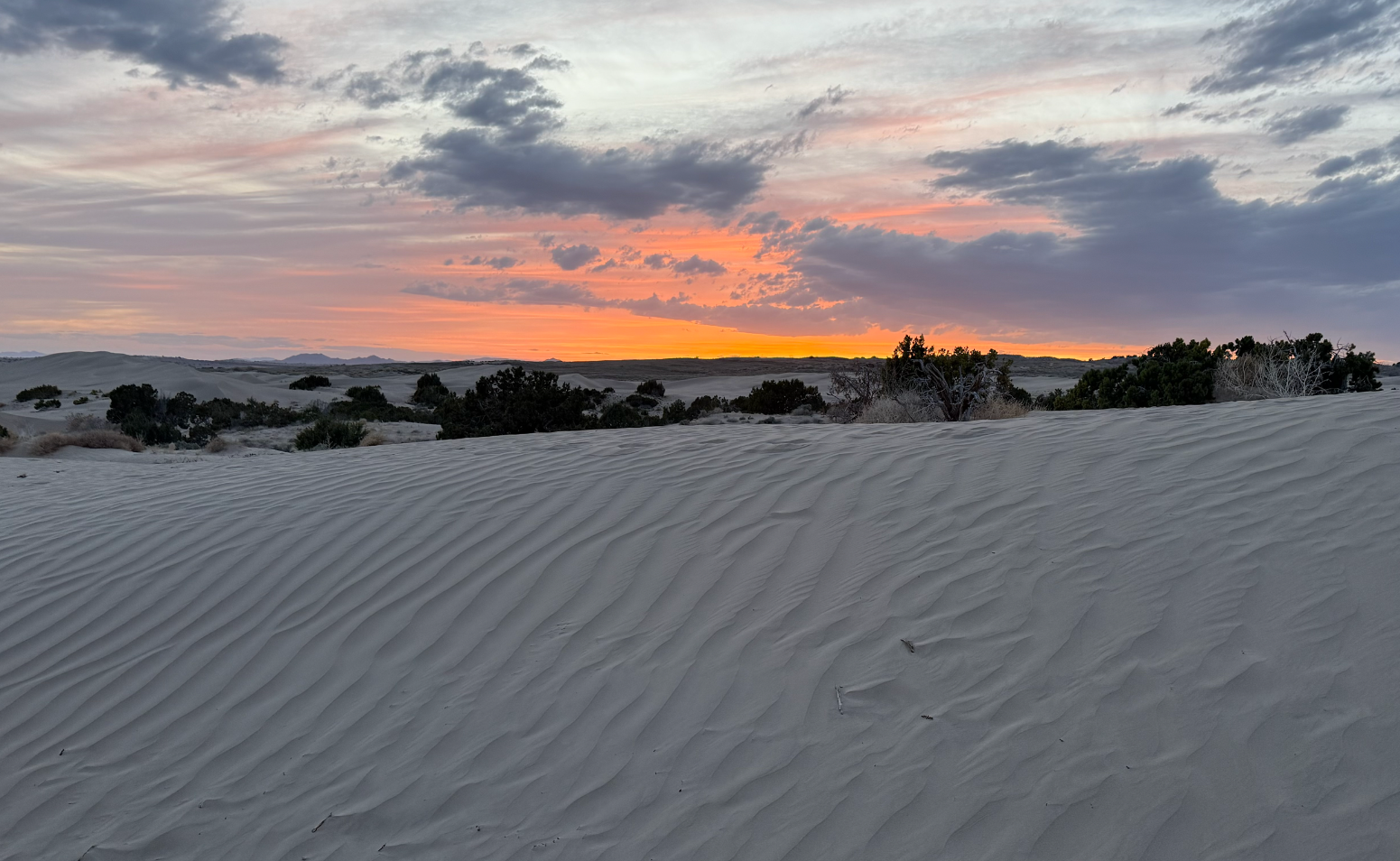 Good Afternoon, if you go for that sort of thing.